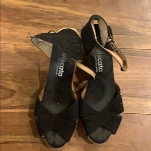 Viscata Wedges